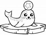Phoque Banquise Robben Foca Focas Seals Ghiaccio Mignon Bebes Walrus Eisscholle Ausmalbild Floe Otters Piccolo Hielo sketch template