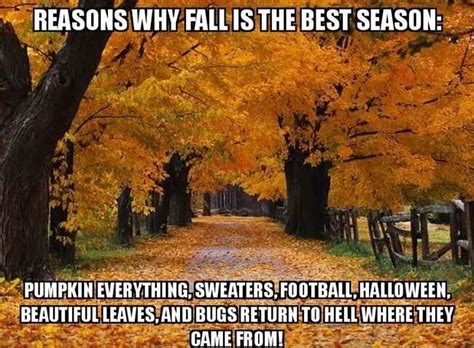 day  fall funny memes images   ready  season