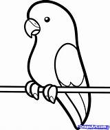 Parakeet Outlines Parrot Dragoart Dessin Source Activite Oiseau Getdrawings Coloriage sketch template