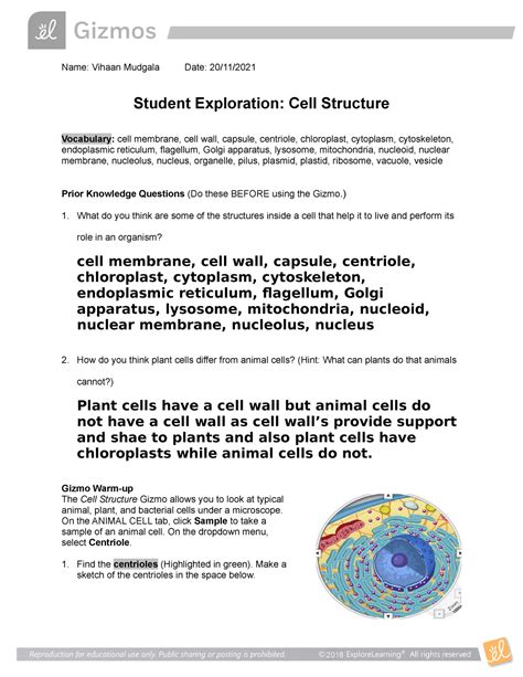 cell structure se gizmo exploration sheet  vihaan mudgala date