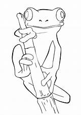 Frog Coloring Pages Frogs Tree Cute Printable Print Drawings Coqui Drawing Kids Outline Animal Animals Worksheets Color Pencil Sheets Books sketch template