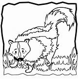 Skunk Coloring Pages Color Animals Animal Print sketch template