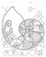 Coloring Pages Nautilus Shell Ocean Fibonacci Mandala Fish Color Fantasy Printable Plants Getdrawings Drawing Adult Pt Google Books Getcolorings Etsy sketch template