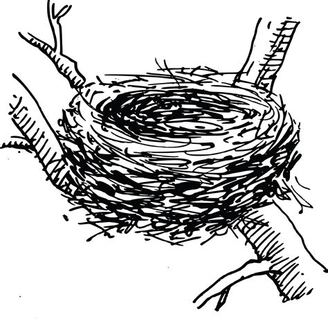 bird nest drawing sketch coloring page