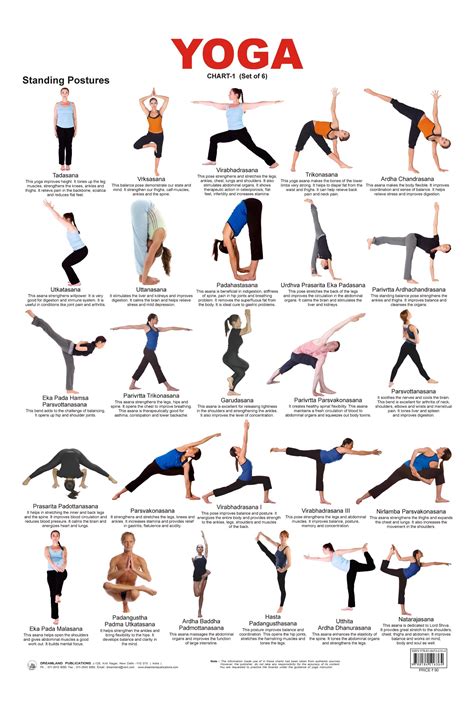 standing postures chart yoga poses advanced advanced yoga yoga