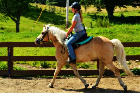 horseback riding  east hill farm  inn  east hill farm