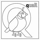 Coloring Pages Preschool Letter Getdrawings Quail Printable sketch template