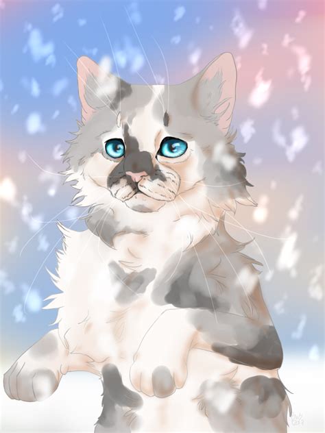 cute anime warrior cats cats anime drawing