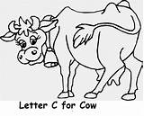 Cow sketch template