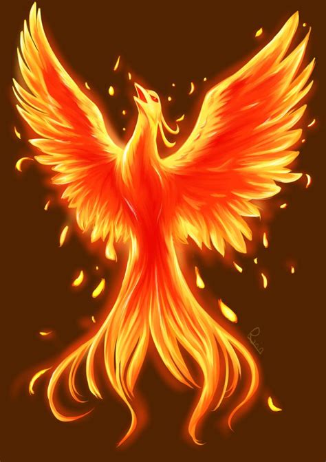 bird  orange  yellow flames   wings