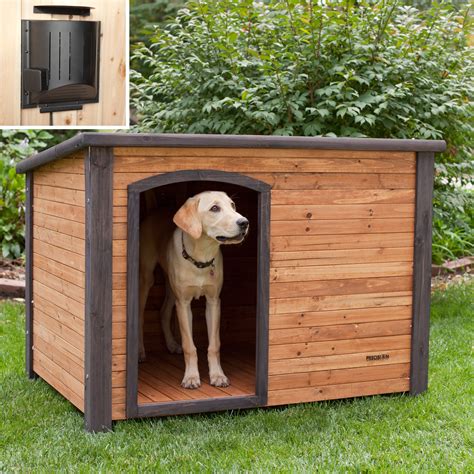 image  pictures  dog houses give  inspirations  selecting   house