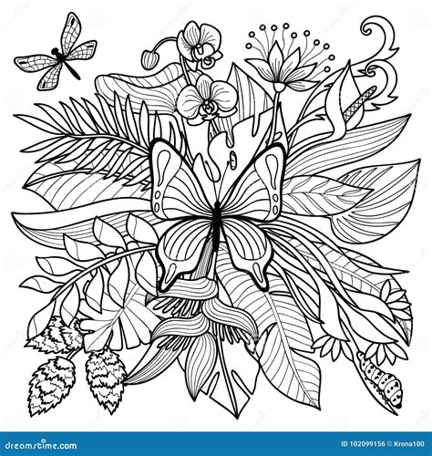 tropical coloring page stock vector illustration  petal