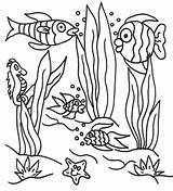 Coloring Underwater Pages Sea Under Scene Ocean Printable Seaweed Colouring Drawing Landscape Easy Sheet Plants Clipart Print Color Animals Floor sketch template