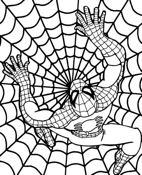 spiderman web coloring sheet  boys topcoloringpagesnet