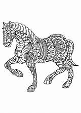 Mandala Coloring Pages Horse Adult Visit Printable sketch template