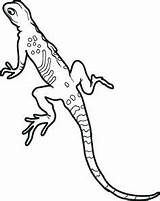 Coloring Pages Lizard Gecko Leopard Kids Printable Monitor Geckos Color Getdrawings Sheets Getcolorings Drawing Realistic sketch template