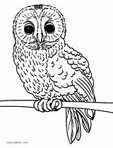 Owl Coloring Pages Baby Cute Realistic Printable Print Color Owls Kids Getcolorings Cool2bkids Template sketch template