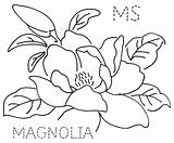 Magnolia Mississippi Feathers Turkey Petals Pro Turkeyfeathers sketch template