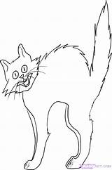 Coloring Pages Cats Cat Getcolorings sketch template