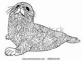 Seal Pages Adult Coloring Patterned Shutterstock Choose Board Para sketch template