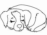 Coloring Pages Dogs Puppy Cats Cute Printable Library Clipart Colouring sketch template