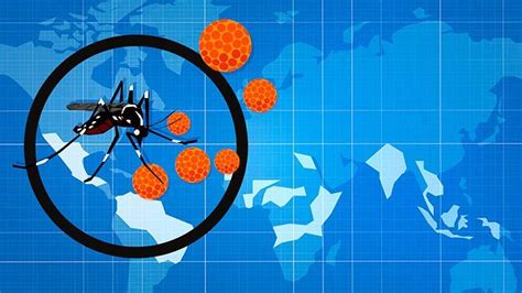 10 essential facts about zika virus everyday health