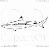 Shark Blacktip Coloring Reef Vector Template Pages Drawing sketch template