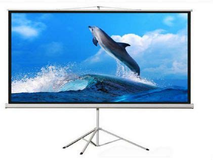 projector screen  chennai  projection screen    screen
