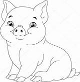 Pig Coloring Stock Illustration Depositphotos sketch template