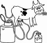 Cow Coloring Milking Pages Farmer Doing Family Colorluna sketch template