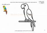 Parrot Coloring Color Example Animals Pet Pages Printable sketch template