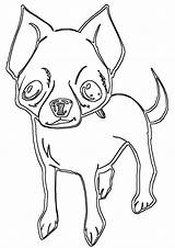 Chihuahua Coloring Pages Print sketch template