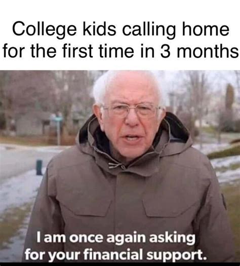 bernie memes   find   internet