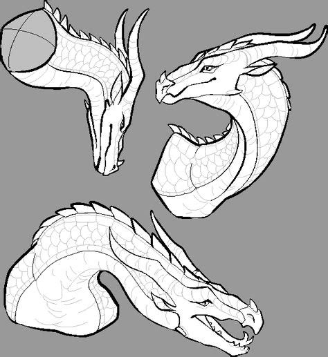 skywing head bases  images dragon poses dragon sketch wings
