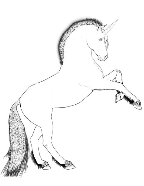 unicorn rearing coloring pages coloring pages