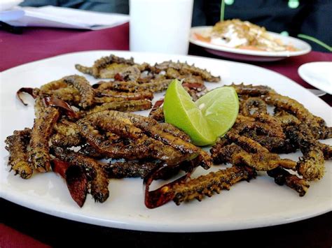 dont   real mexican food     heard  cuchama worms rmexicanfood