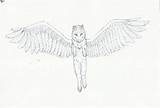 Winged sketch template