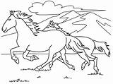 Mewarnai Kuda Sketsa Pemandangan Berlari Diwarnai Hewan Hitam Kumpulan Alam Koleksi Mewarnaigambar Sungai Web Jadikan Referensi Lukisan Sobsketsa Gunung Pantai sketch template