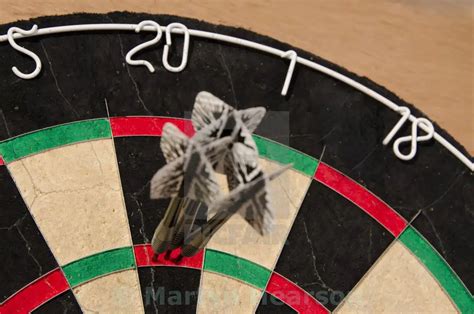 darts betting tips today  european championships pundit feed