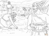 Manna Quail Ausmalbild Gathering Crossing Miriam Supercoloring Exodus Biblia Aufsammeln Himmel Mose Auszug Salvat sketch template