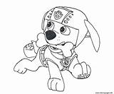 Paw Patrol Coloring Pages Christmas Zuma Getcolorings sketch template