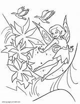 Coloring Pages Fairy Fairies Printable Adults Print Colouring Color Resume Icons Girls Pdf Vector Getdrawings Getcolorings Disney Fantastic Templates sketch template