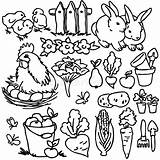 Allevamento Fumetto Granja Vegetables Dibujar Illustration Verduras Hare Children Umore Campanella Colorazione Livestock sketch template