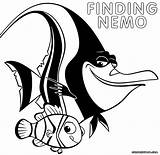 Nemo Finding Coloring Pages Getdrawings Drawing sketch template