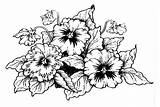 Pansy sketch template