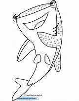 Coloring Nemo Dory Destiny Disneyclips Dori Shark sketch template