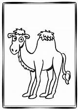 Camel Coloring Pages Classroom Six Entitlementtrap Camels Printable Cartoon sketch template