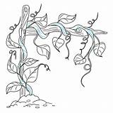 Vines Really Easydrawingguides sketch template