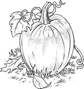 risultati immagini  pumpkin leaf template printable fall coloring