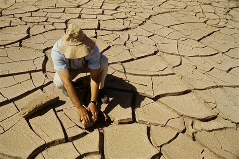 land degradation neutrality regional technical platform  green